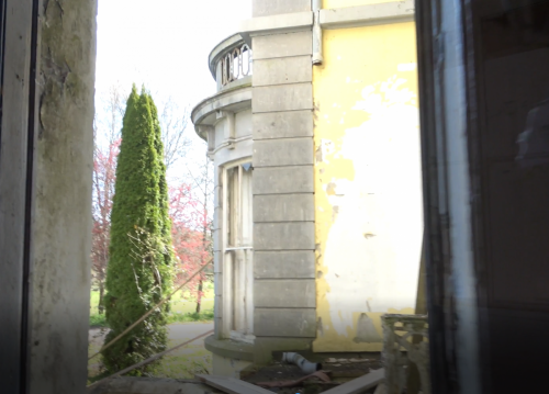  looking outside through a side door