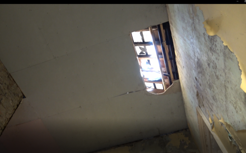 Roof with opening